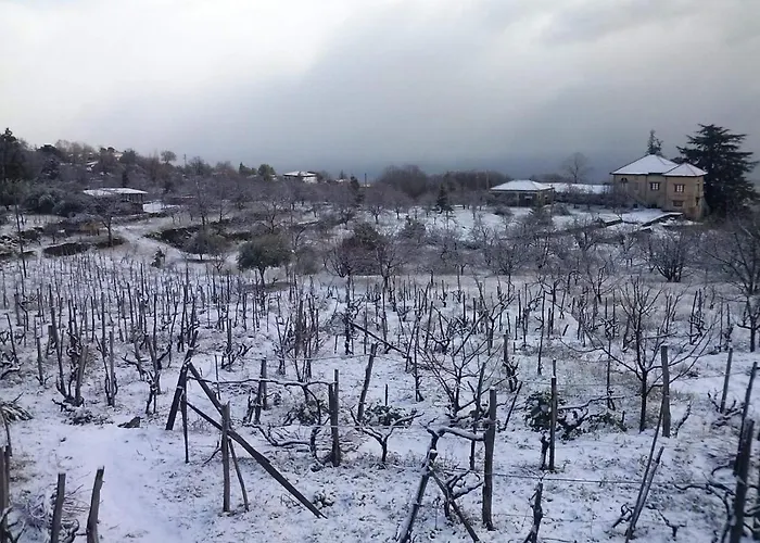 Etna Masi' 度假居