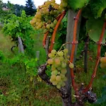 Etna Masi' Milo