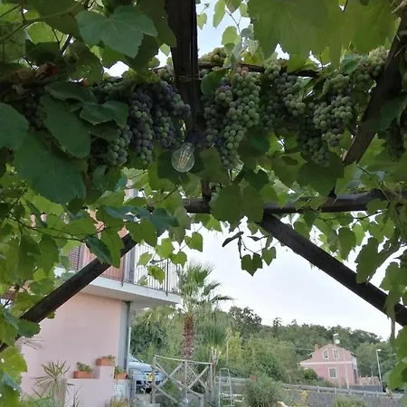 Etna Masi' Milo