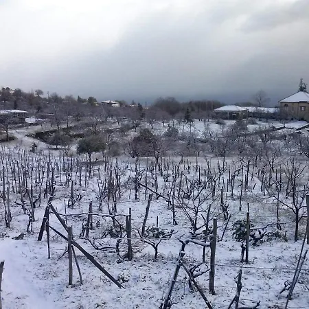 Etna Masi' 度假居