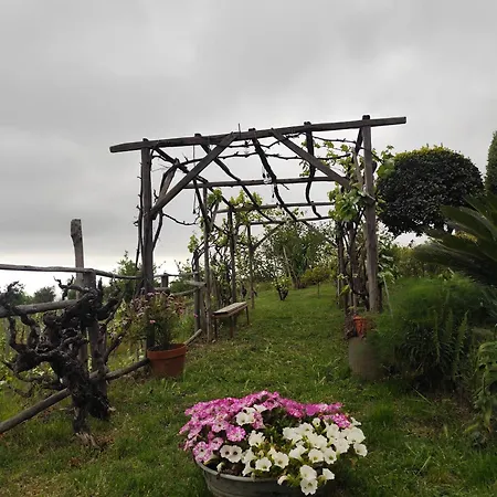 Etna Masi'